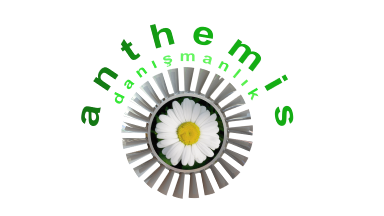 Anthemis Danışmanlık